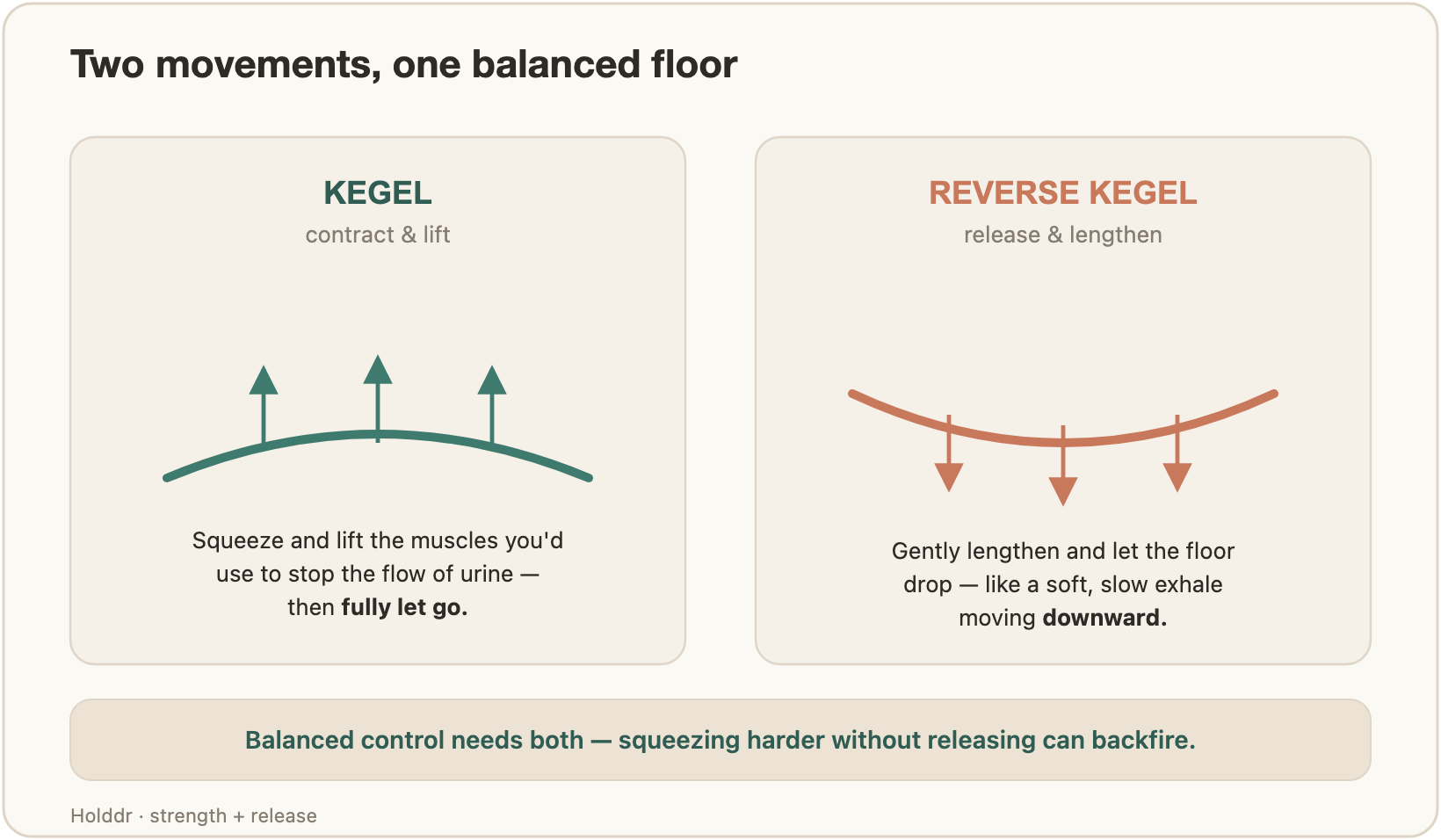 Two panels: a kegel arches the pelvic floor upward; a reverse kegel lets it drop and lengthen